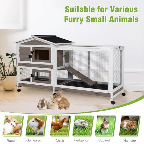 Rabbit Hutch Indoor with Chew