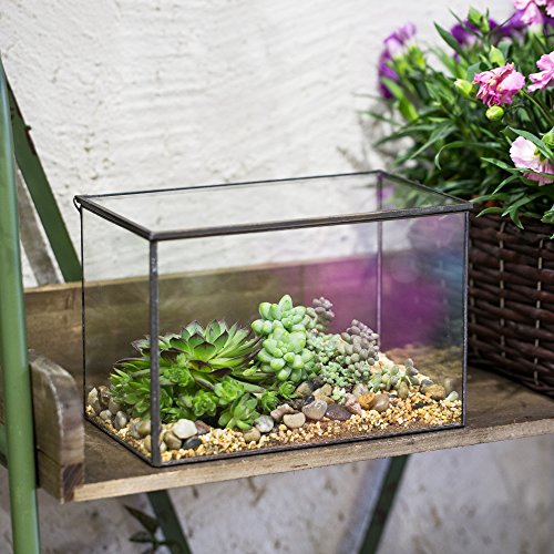 Small Glass Terrarium Planter with Lid (Black / 17x10x12cm)
