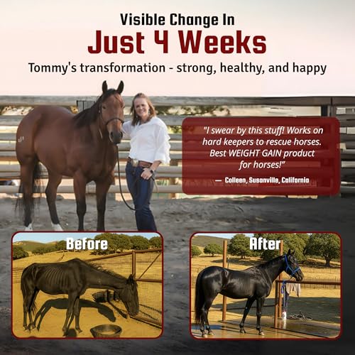Super Weight Gain 10 lb (10 Pounds)