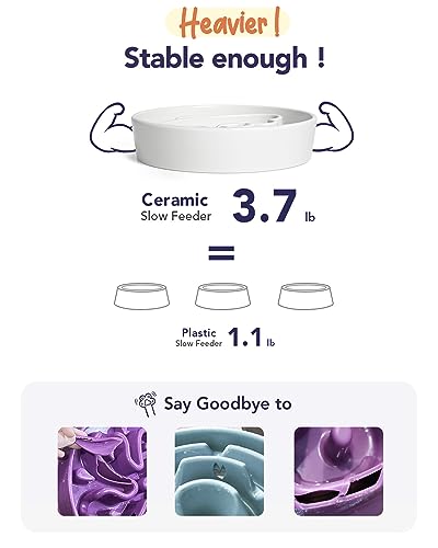 Slow Feeder Dog Bowls Ceramic (Angle White / L-3 Cups)