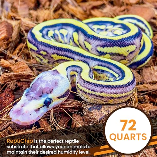 ReptiChip Reptile Substrate Coconut Chip Bedding 72 Quart Compressed Organic Coco Husk Block for Snake Habitat (10 Pack Breeder Bundle)