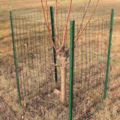 Black PVC Coated Welded Wire Fence 48" x 100' Roll (Black / 2''x3'' 16GA 48''x100')