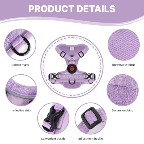 Cat Harness Leash Set with AirTag Holder (Purple for Airtag / S)