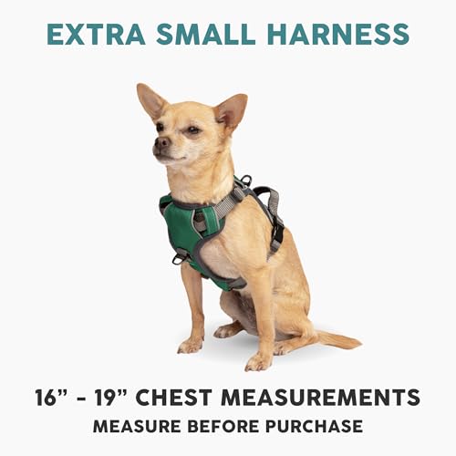 Embark No Pull Dog Harness (XS / Green)
