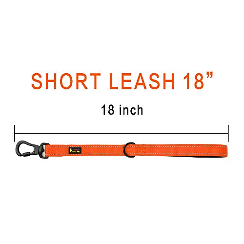 Short Training Dog Leash with Padded Handle for Medium Large Big Dogs (Orange / 18 Inch (Pack of 1))
