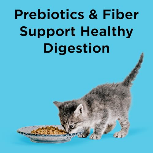 Liberty Dry Food Digestive Cat Health Chicken Recipe
