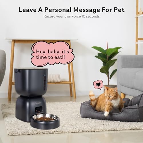 Automatic Cat Feeder and Water Dispenser FW1 (Black)