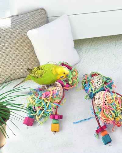 2PCS Bird Parrot Foraging Shredder Hanging Toys Sola Balls Sepak Takraw with Pacifier for Small Parrots Parakeets Conures Cockatiels Love Birds Cage Toy (2 PCS)