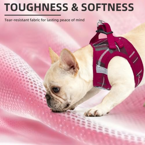 Dog Harness Collar and Leash Set No Pull for Small Medium Sized (Red / S (CHEST 14.5"-16"))