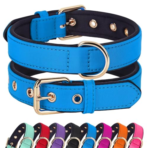 Soft Padded Dog Collars for Medium Dogs (Blue / L: Fit 13-17" Neck)