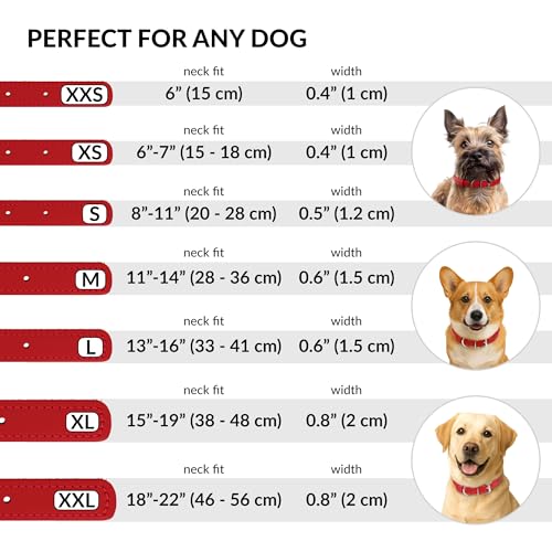 Tangle Free Rolled Leather Dog Collar (Red / XS)