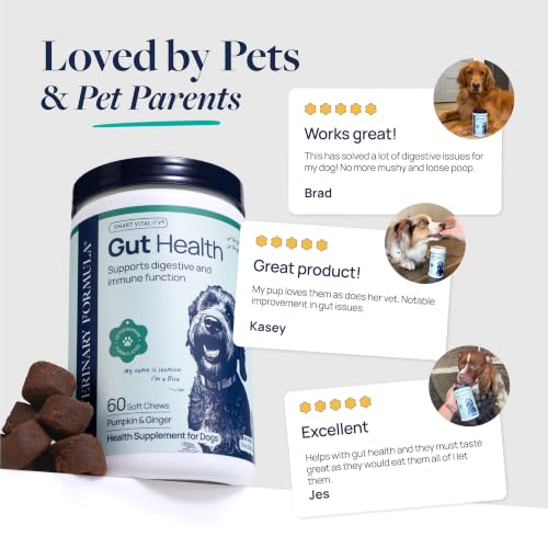 Smart Vitality Gut Health Soft Chews for Dogs (120 Count)