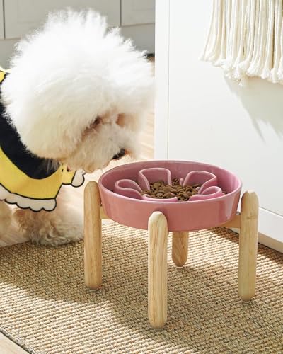Ceramic Slow Feed Dog Bowls (Pink Bloom+Stand / S-0.6 Cups)