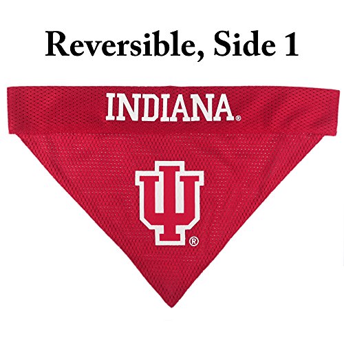 Collegiate Pet Accessories (Small/Medium / Indiana Hoosiers)