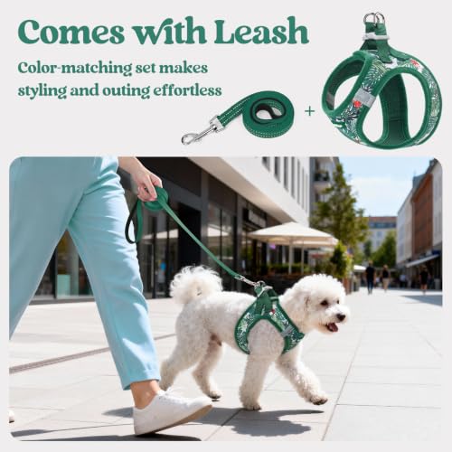 Dog Harness Small Sized and Leash Set (Rainforest Green / S (chest: 15.1 - 16.5"))