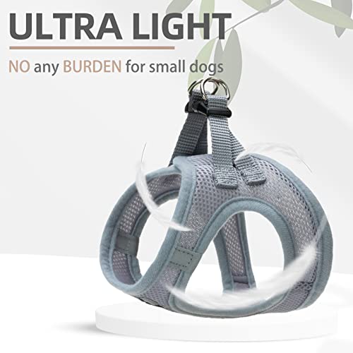Adjustable Dog Harness Collar and Leash Set Step in No Pull Pet Harness for Small Medium Dogs Puppy and Cats Outdoor Walking Running (Solid Grey / XS (CHEST 13"-14.5"))