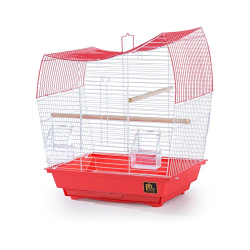 South Beach Wave Top Bird Cage Minimal Assembly (Lime Green / 10.4"L x 0.4"W x 17.6"H)
