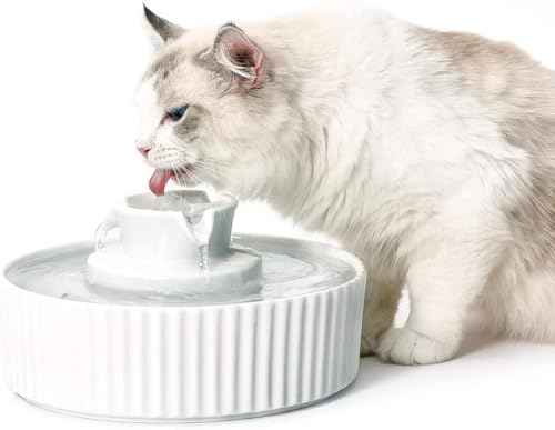 Pet Drinking Fountain