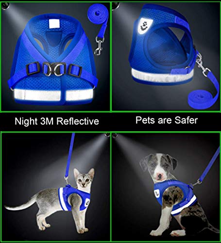 Cat Harness and Leash Set (XS (Chest: 6" - 8") / Blue)