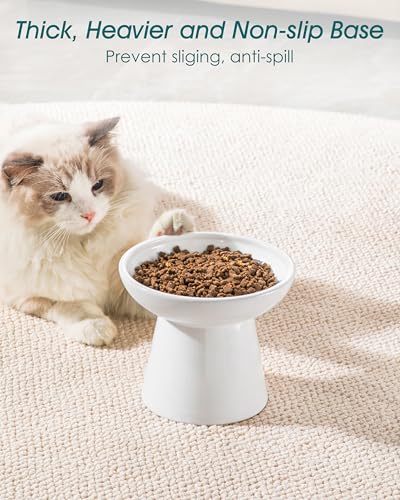 2 Pack 6.2" Wide Elevated Cat Bowls (White)