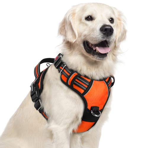 Dog Harness for Large (Orange / X-Large)