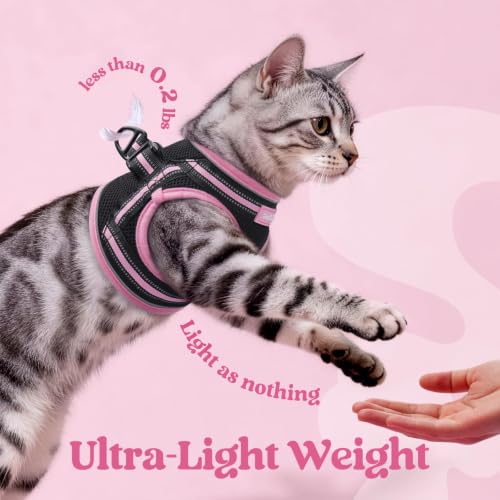 Cat Harness and Leash Set (M / Black & Pink)