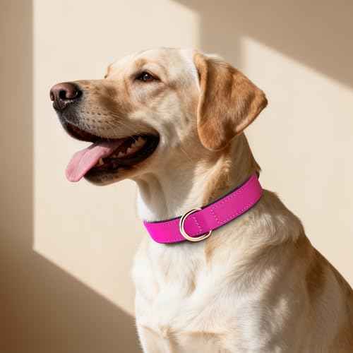 Soft Padded Dog Collars for Large Dogs (Rose Purple / XL: Fit 17-23" Neck)