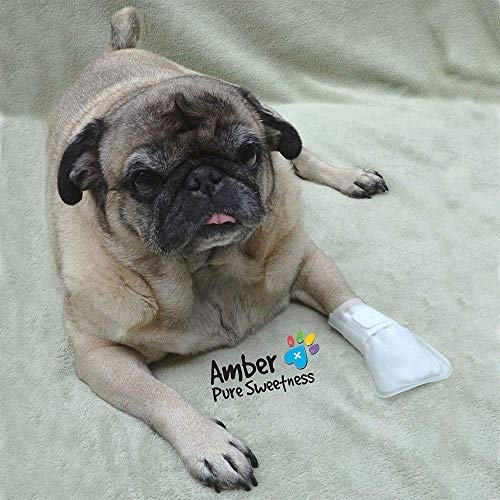 Outdoor Water Proof Cover. Slides Over MediMitts for Dogs paw (Small 20pk)