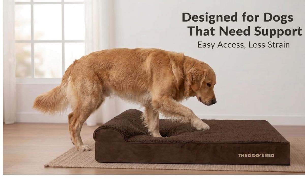 The Dog’s Bed Orthopedic Memory Foam Dog Bed with Headrest Large (Brown Plush / L (40"L x 25"W x 6"Th))
