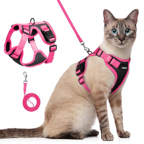 Cat Harness and Leash Set (Black & Rose Pink / S)
