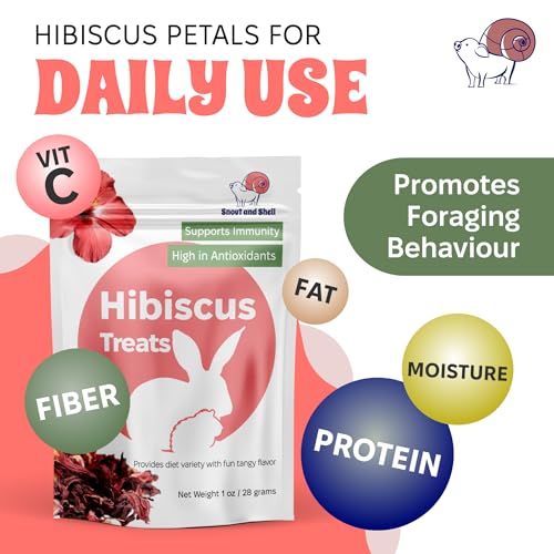 Hibiscus Treats