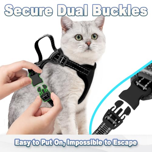 Cat Harness and Leash Set Escape Proof for Kitten Walking (Medium / Black)