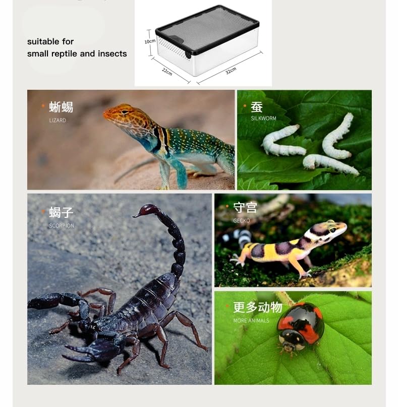 Reptile Feeding Box Clear Terrarium for Geckos