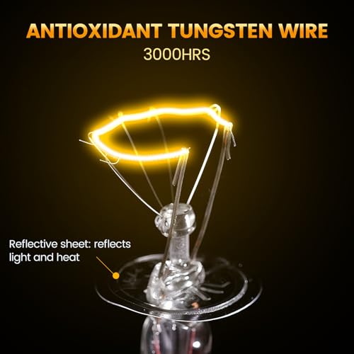 Dual Reptile Light Fixture with 100W Full Spectrum UVA UVB Light Bulb & 100W Nighttime Ceramic Heat Emitter (ST4)