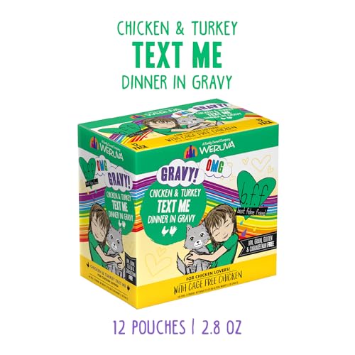 B.F.F. OMG Best Feline Friend Oh My Gravy! (2.8 Ounce (Pack of 12))