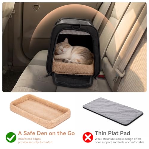 Large Cat Carrier with Patented Safety Buckles (19.0"L x 12.0"W x 12.0"H / Black)