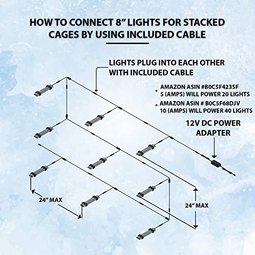 HappyBird Lightning (8")