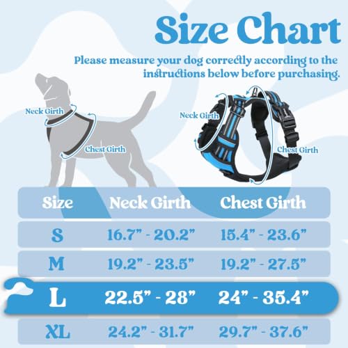 Dog Harness for Large (Large / Sky Blue)
