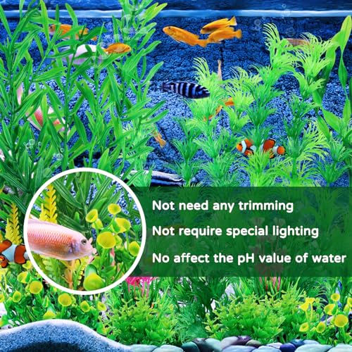 Fish Tank Plants