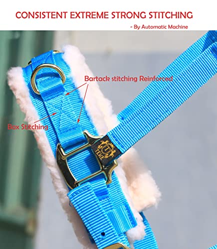 Lunge Cavesson with Fleece Lined Nose Band and Crown