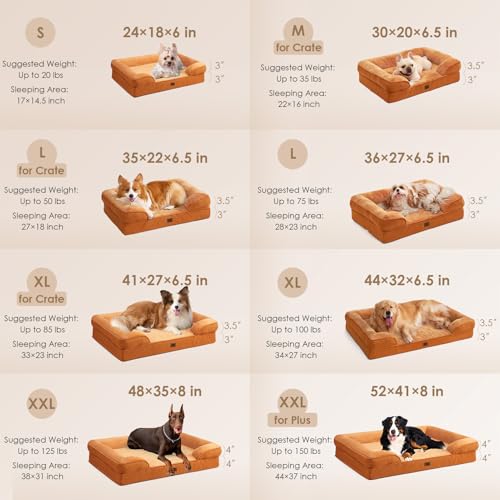 Orthopedic XXL Dog Bed (Pumpkin Orange / 52.0"l X 41.0"w X 8.0"th)