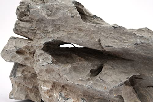 Seiryu Stone 34lb Large Natural Aquarium Rocks for Fish Tank Decor (07 Seiryu Stones(3-11inch,36lbs))