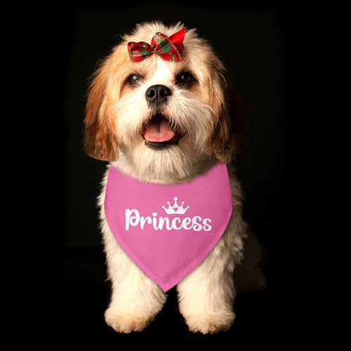 Princess Dog Bandana Dog Birthday Girl Bandana Dogs Pink Funny Gender Reveal Pet Accessories for Pet Lovers Gifts Scarf for Small Medium Dogs & Cats (O)