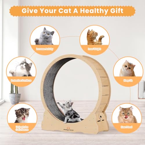 Cat Exercise Wheel for Indoor Cats (M / Natural Wood)