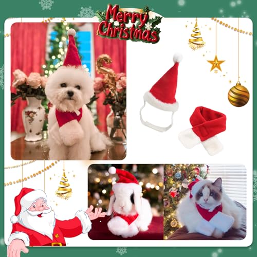Cat Christmas Costume (Xmas Costume)