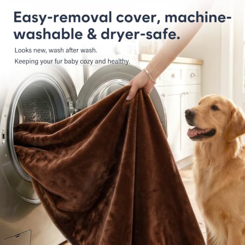 Orthopedic Medium Dog Bed 32 Inch (32.0"L x 24.0"W x 3.0"Th / Dark Brown)