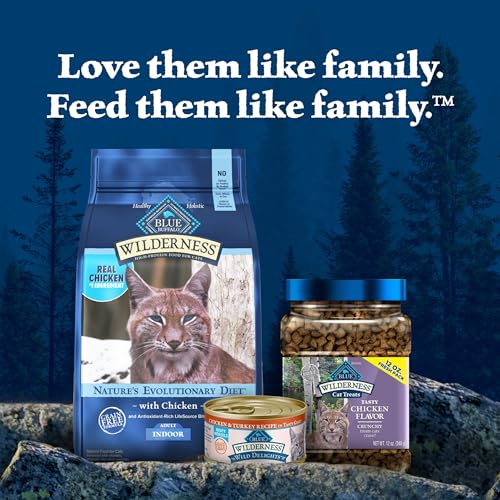 Wilderness Chicken Adult Indoor Dry Cat Food (2 Pound (Pack of 1))