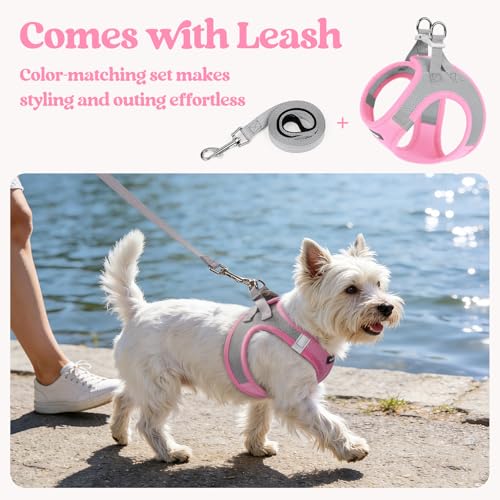 Dog Harness Medium Sized and Leash Set (Light Pink & Gray / L (chest: 18.2 - 20.5"))