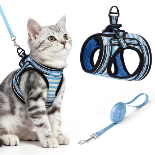 Cat Harness and Leash Set (M / Blue Wave)