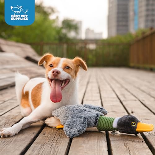 Interactive Squeaky Dog Chew Toy (Mallard Duck Wing (Gray) / Large)